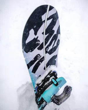 Tabla de Snowboard - Bataleon - Cameleon