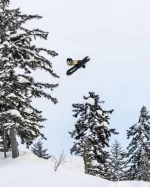 Tabla de Snowboard - Bataleon - Cameleon