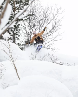 Tabla de Snowboard - Bataleon - Goliath